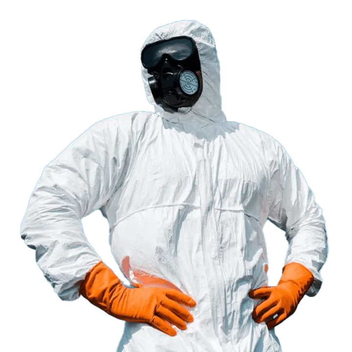 Pest Exterminator in Toronto