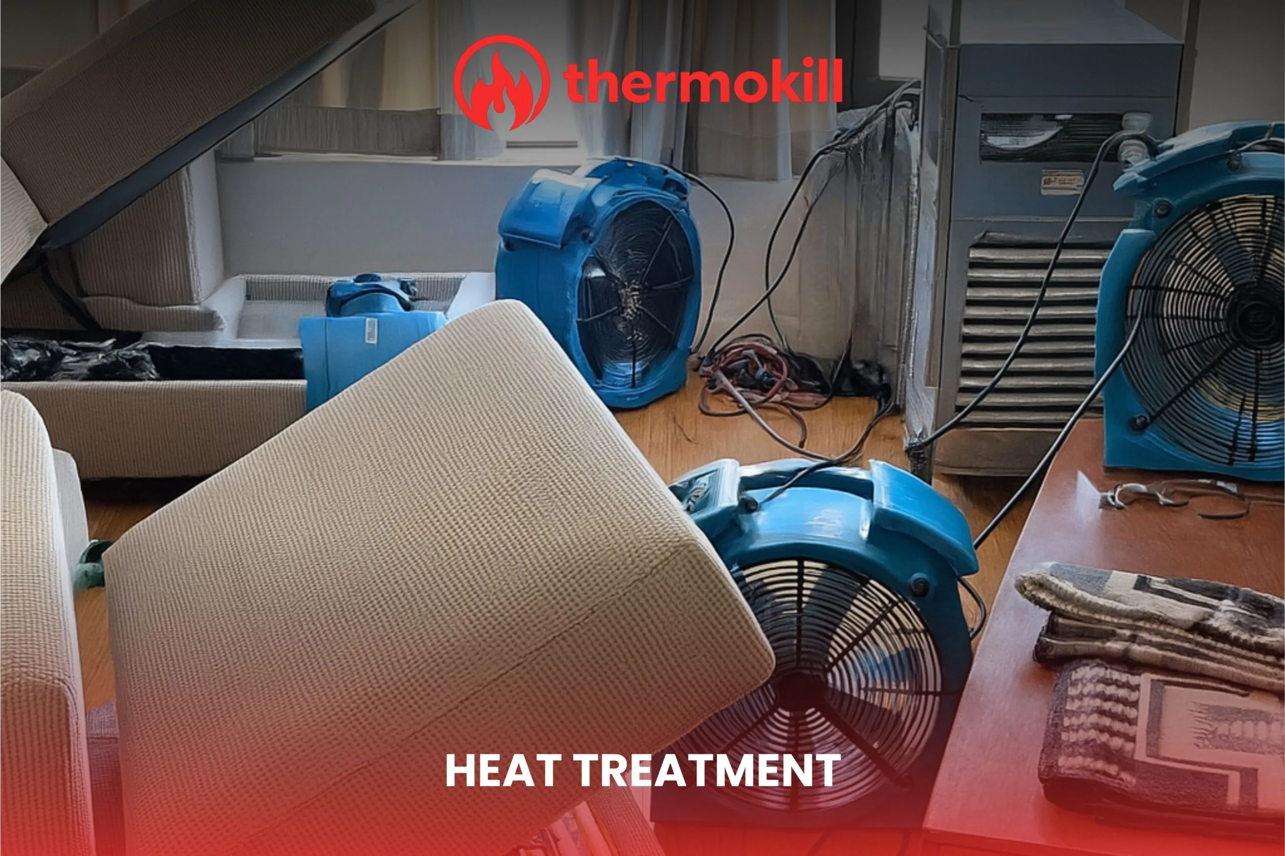 Heat Treatment Bedbug Removal