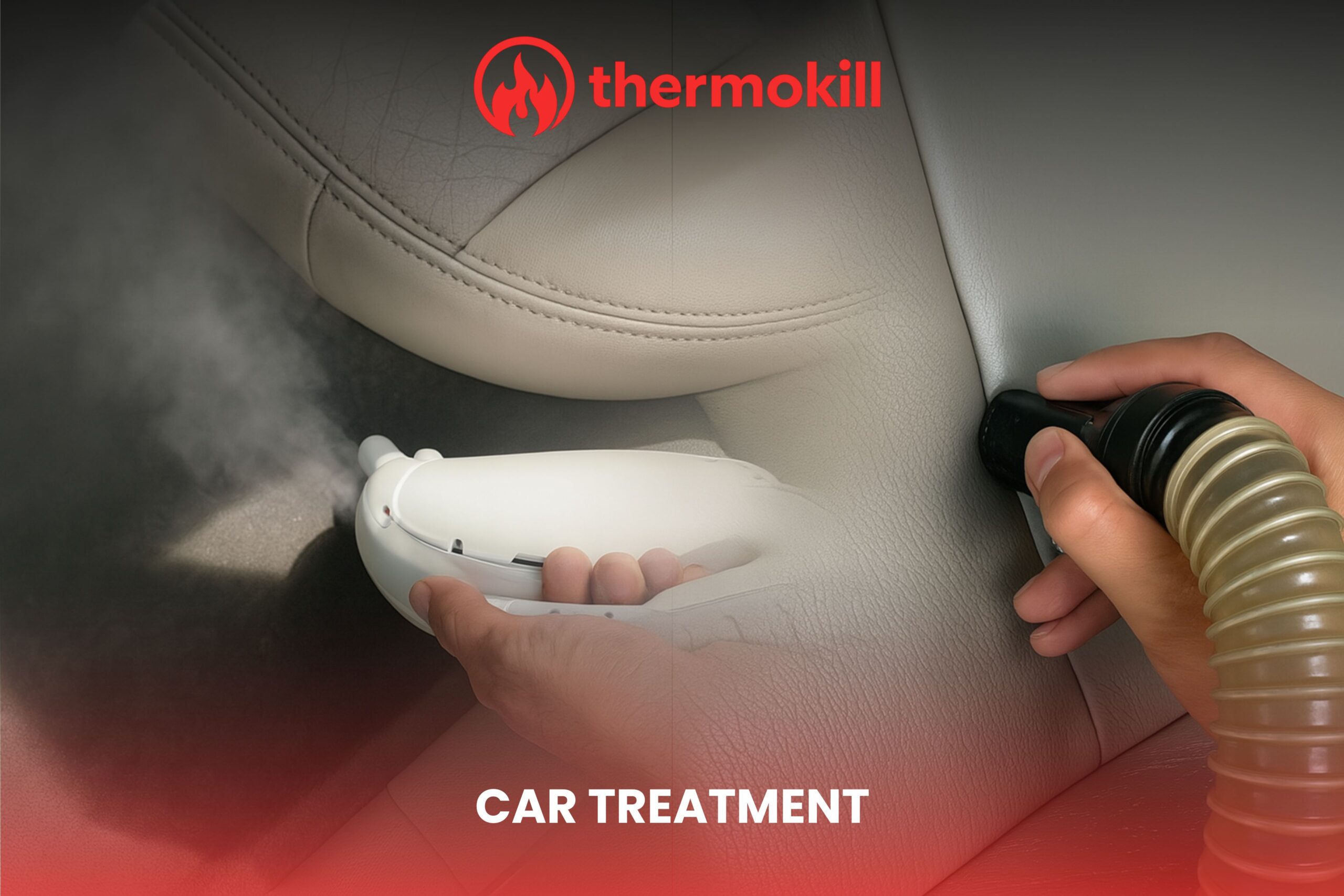 Bed bug Car treatment