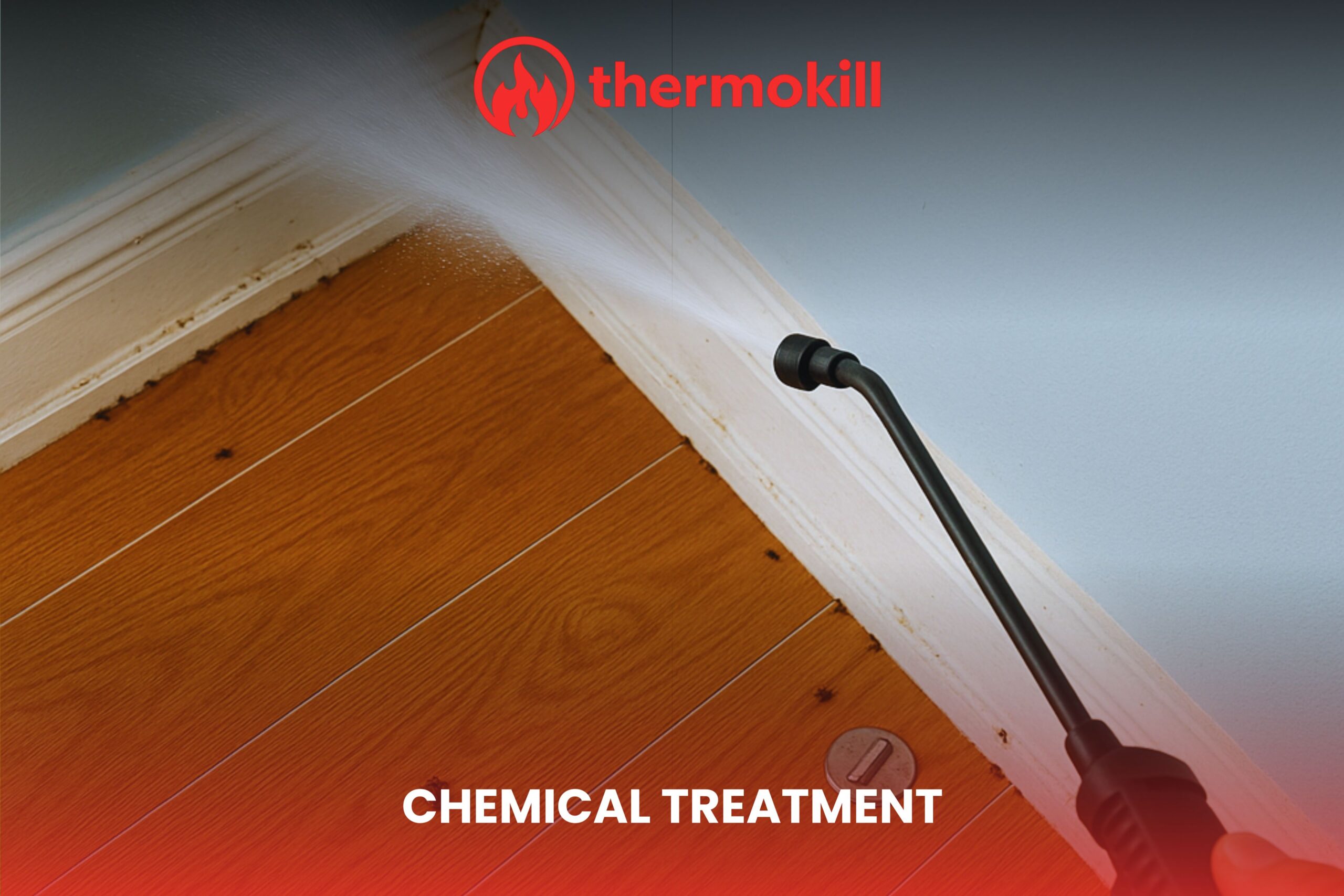 Bed Bug Chemical Treatment