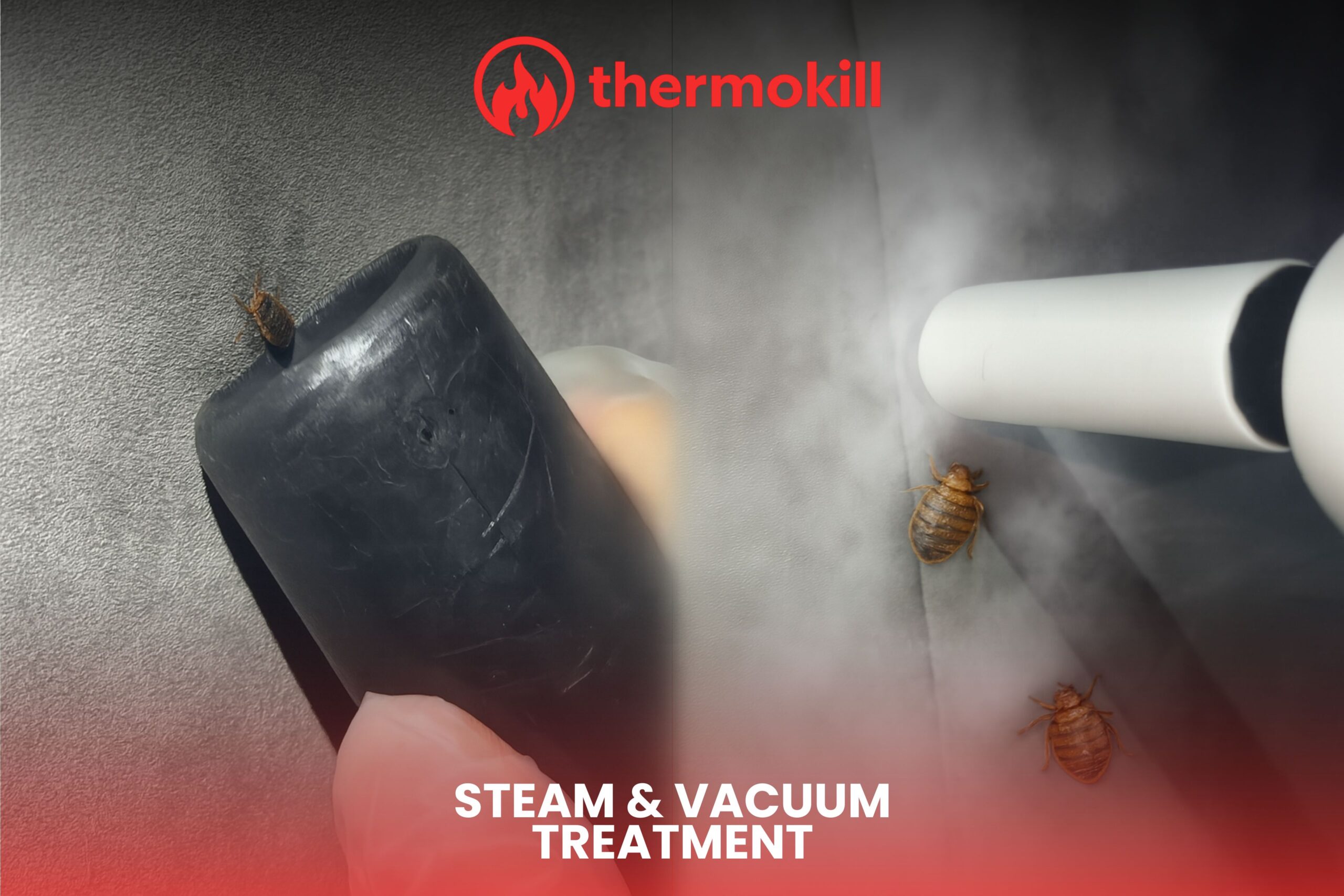 Bed Bug Steam and Vacuum Treatment